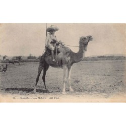 Rare collectable postcards of ALGERIA. Vintage Postcards of ALGERIA