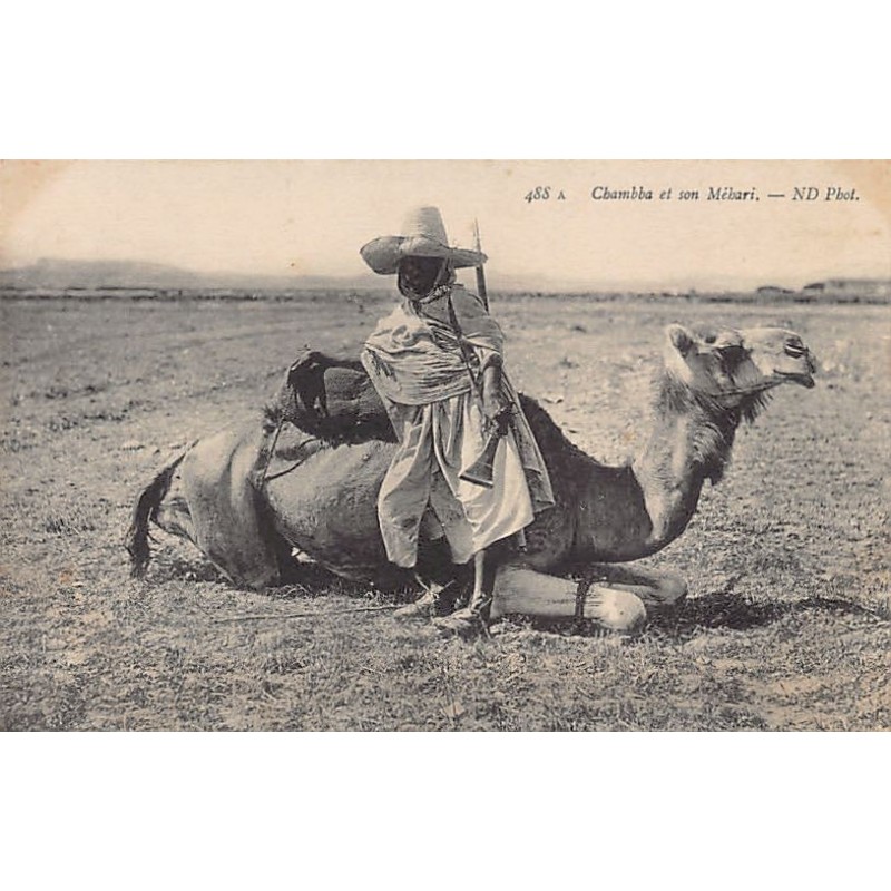 Rare collectable postcards of ALGERIA. Vintage Postcards of ALGERIA
