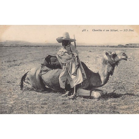 Rare collectable postcards of ALGERIA. Vintage Postcards of ALGERIA