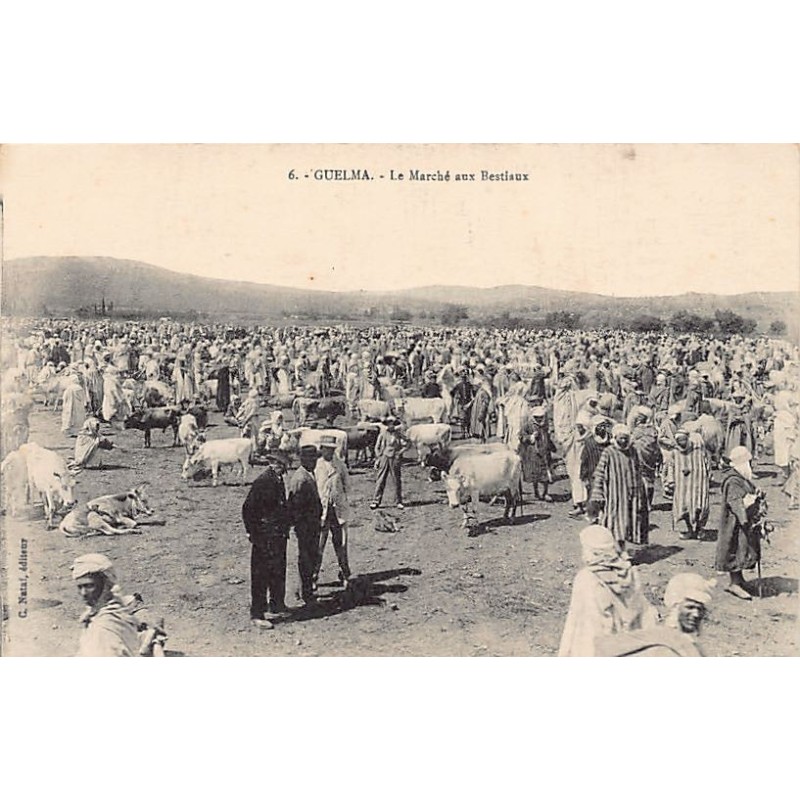Rare collectable postcards of ALGERIA. Vintage Postcards of ALGERIA