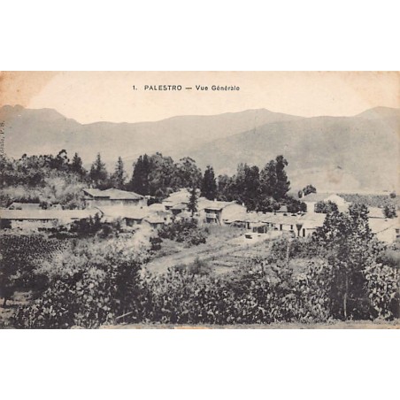 Rare collectable postcards of ALGERIA. Vintage Postcards of ALGERIA