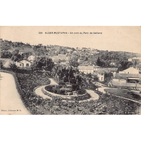 Rare collectable postcards of ALGERIA. Vintage Postcards of ALGERIA