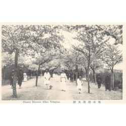 Rare collectable postcards of CHINA. Vintage Postcards of CHINA