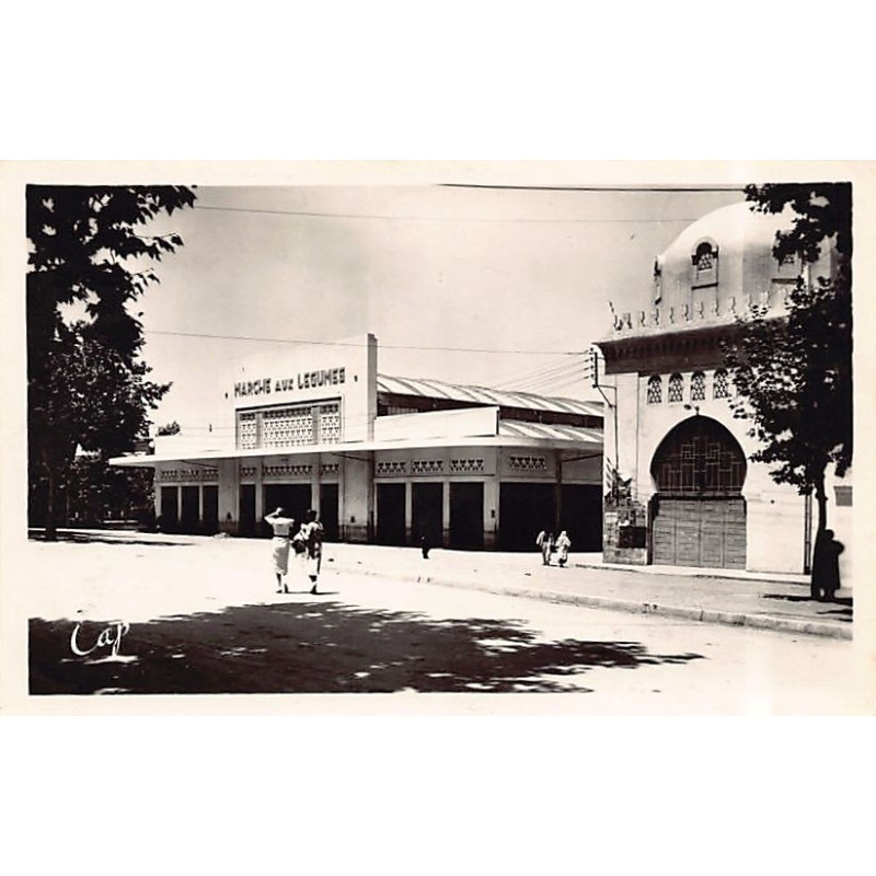 Rare collectable postcards of ALGERIA. Vintage Postcards of ALGERIA