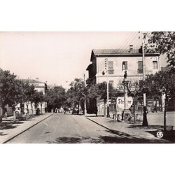 Rare collectable postcards of ALGERIA. Vintage Postcards of ALGERIA