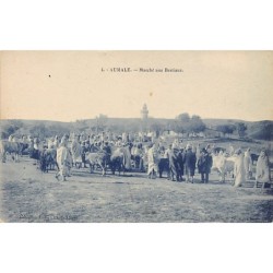 Rare collectable postcards of ALGERIA. Vintage Postcards of ALGERIA