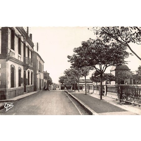 Rare collectable postcards of ALGERIA. Vintage Postcards of ALGERIA