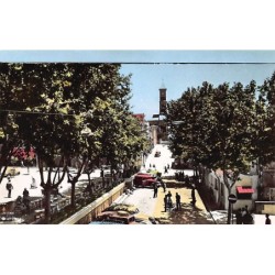 Rare collectable postcards of ALGERIA. Vintage Postcards of ALGERIA