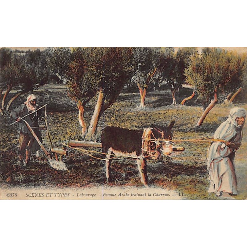 Rare collectable postcards of ALGERIA. Vintage Postcards of ALGERIA