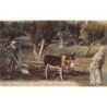 Rare collectable postcards of ALGERIA. Vintage Postcards of ALGERIA
