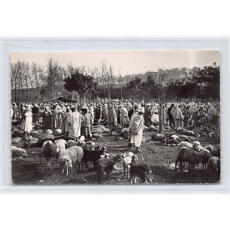 Rare collectable postcards of ALGERIA. Vintage Postcards of ALGERIA
