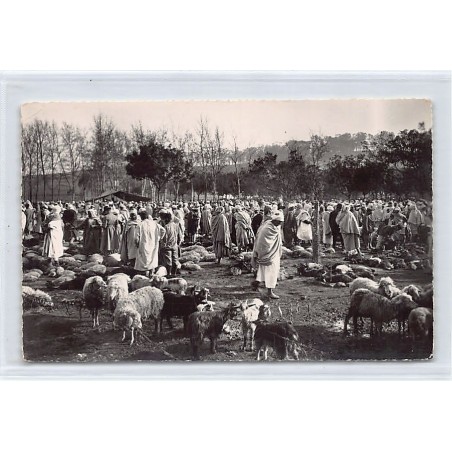 Rare collectable postcards of ALGERIA. Vintage Postcards of ALGERIA