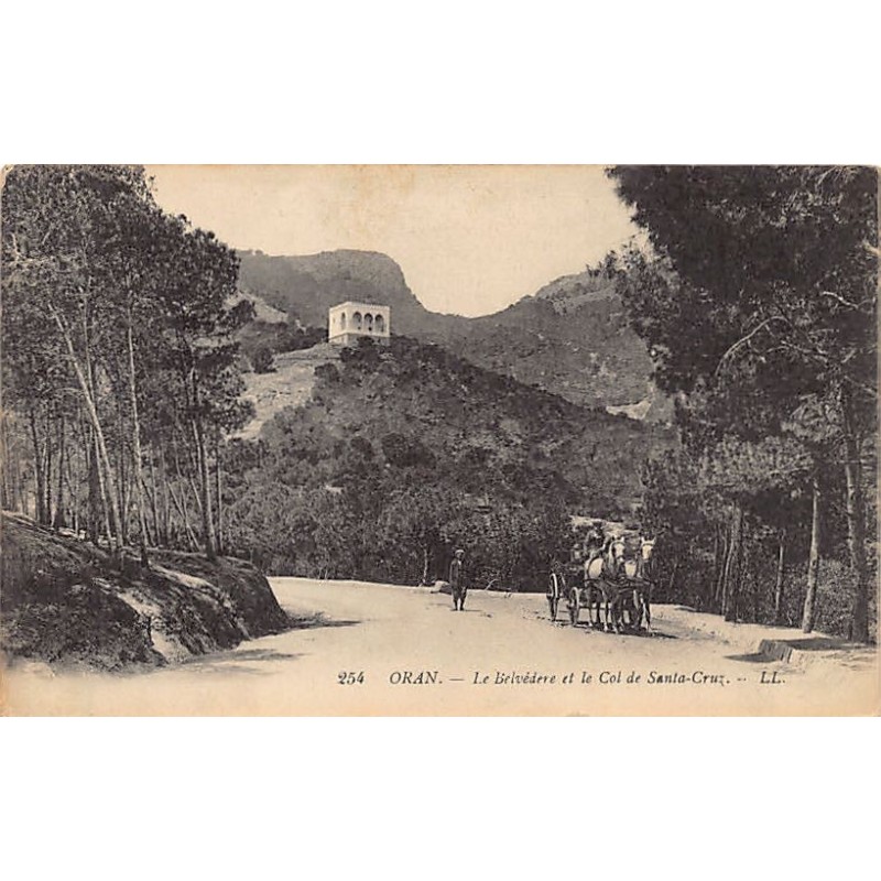 Rare collectable postcards of ALGERIA. Vintage Postcards of ALGERIA