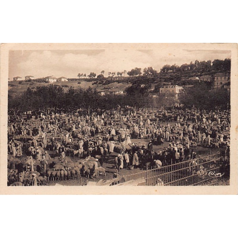 Rare collectable postcards of ALGERIA. Vintage Postcards of ALGERIA