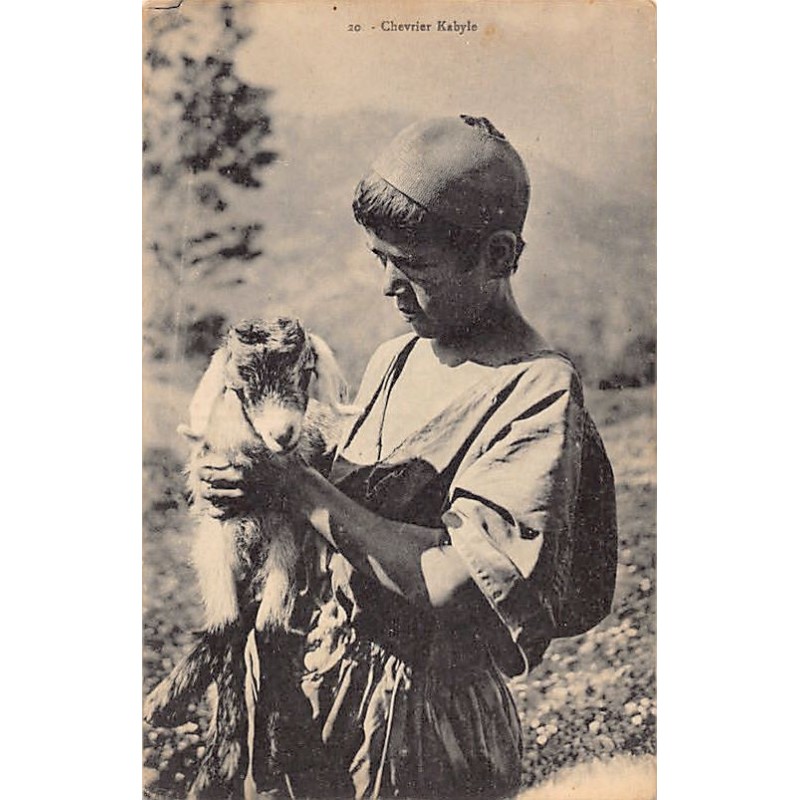 Rare collectable postcards of ALGERIA. Vintage Postcards of ALGERIA