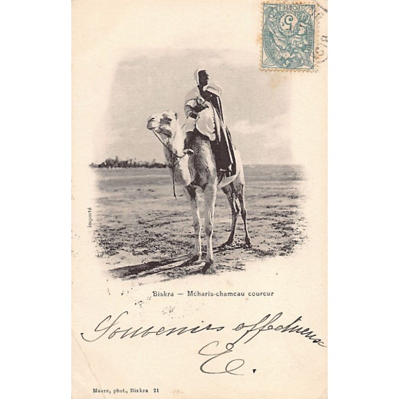Rare collectable postcards of ALGERIA. Vintage Postcards of ALGERIA