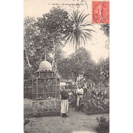 Rare collectable postcards of ALGERIA. Vintage Postcards of ALGERIA