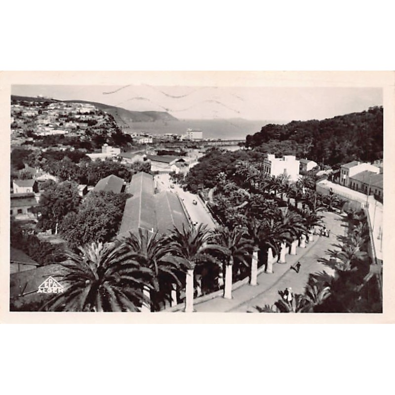 Rare collectable postcards of ALGERIA. Vintage Postcards of ALGERIA