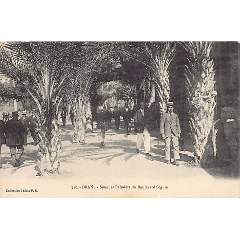 Rare collectable postcards of ALGERIA. Vintage Postcards of ALGERIA