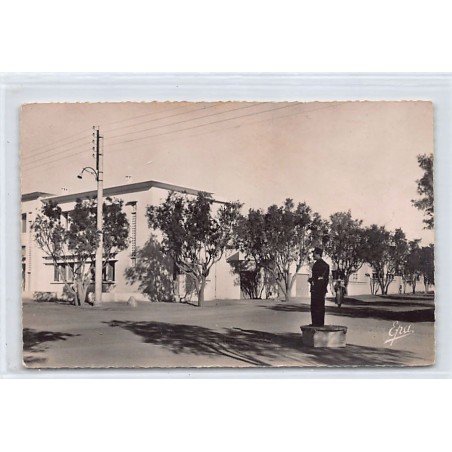 Rare collectable postcards of ALGERIA. Vintage Postcards of ALGERIA