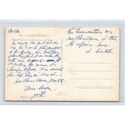 Rare collectable postcards of ALGERIA. Vintage Postcards of ALGERIA