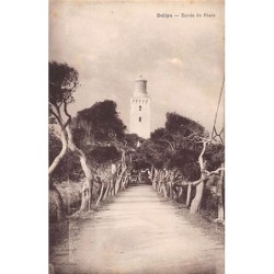 Rare collectable postcards of ALGERIA. Vintage Postcards of ALGERIA