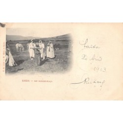 Rare collectable postcards of ALGERIA. Vintage Postcards of ALGERIA