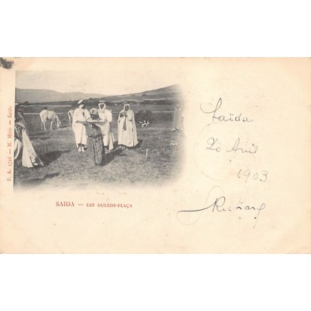 Rare collectable postcards of ALGERIA. Vintage Postcards of ALGERIA