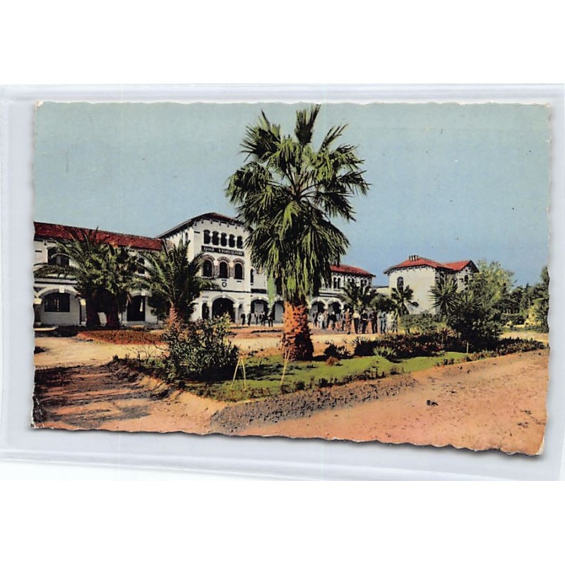 Rare collectable postcards of ALGERIA. Vintage Postcards of ALGERIA