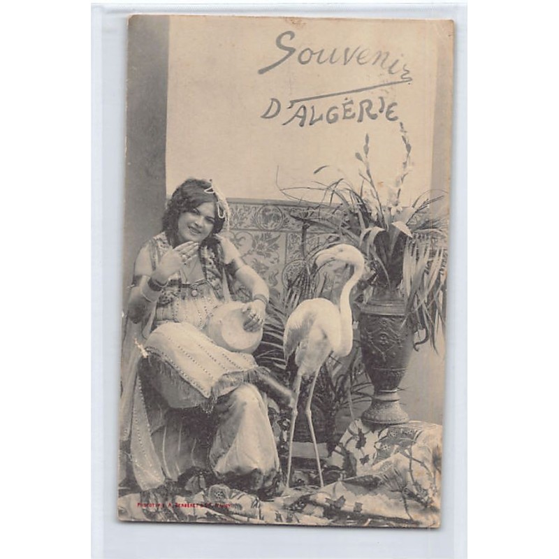 Rare collectable postcards of ALGERIA. Vintage Postcards of ALGERIA