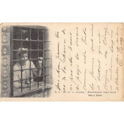 Rare collectable postcards of ALGERIA. Vintage Postcards of ALGERIA