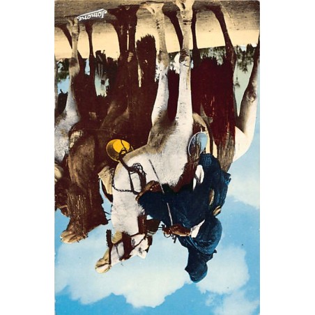 Rare collectable postcards of ALGERIA. Vintage Postcards of ALGERIA