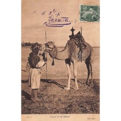 Rare collectable postcards of ALGERIA. Vintage Postcards of ALGERIA