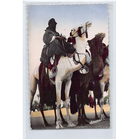 Rare collectable postcards of ALGERIA. Vintage Postcards of ALGERIA