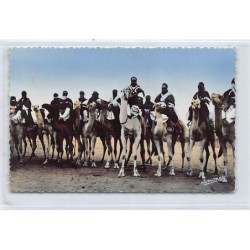 Rare collectable postcards of ALGERIA. Vintage Postcards of ALGERIA