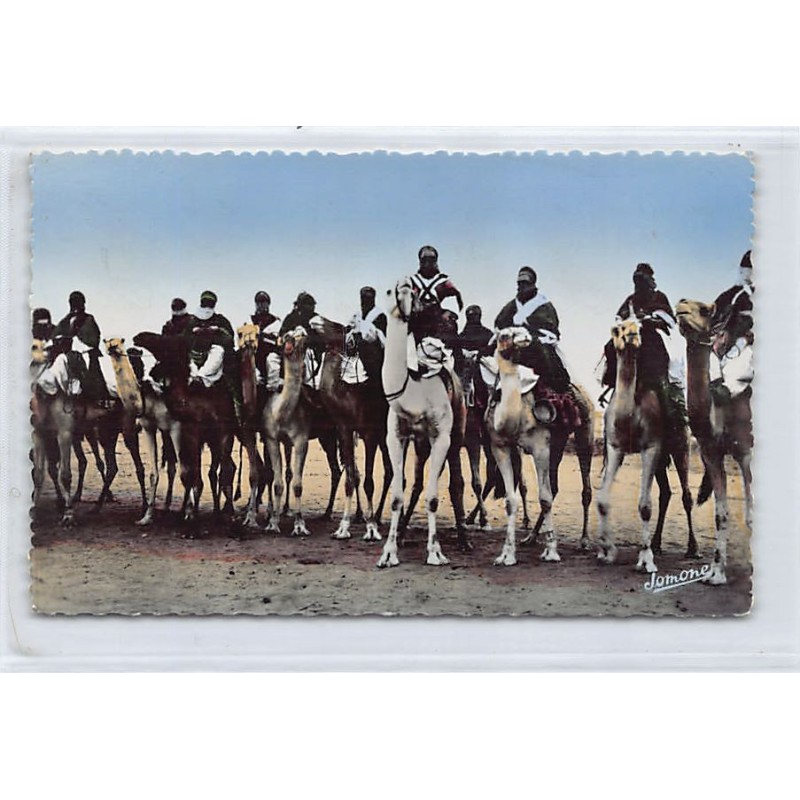 Rare collectable postcards of ALGERIA. Vintage Postcards of ALGERIA
