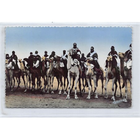 Rare collectable postcards of ALGERIA. Vintage Postcards of ALGERIA