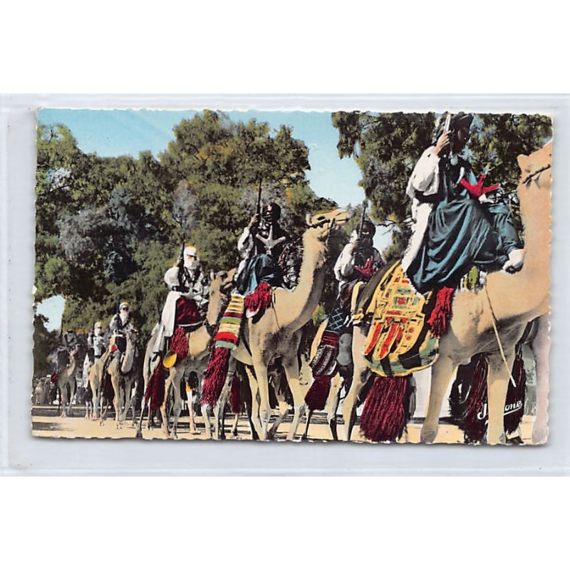 Rare collectable postcards of ALGERIA. Vintage Postcards of ALGERIA