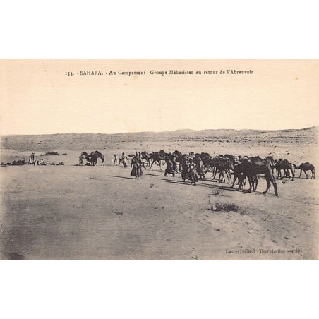 Rare collectable postcards of ALGERIA. Vintage Postcards of ALGERIA