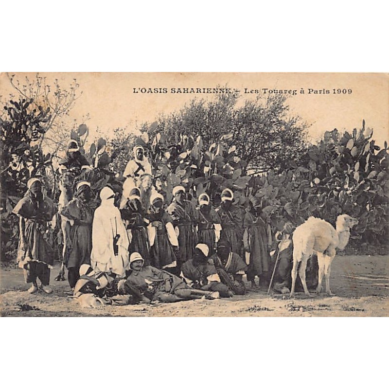 Rare collectable postcards of ALGERIA. Vintage Postcards of ALGERIA