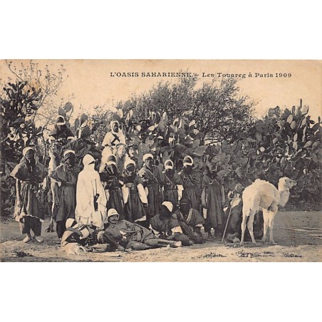 Rare collectable postcards of ALGERIA. Vintage Postcards of ALGERIA