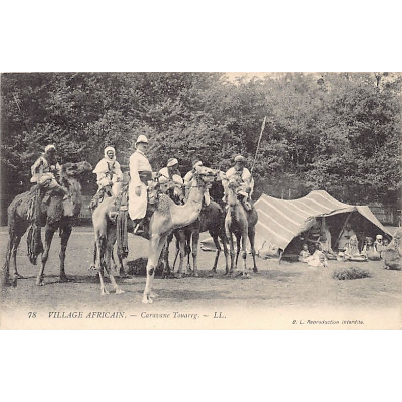 Rare collectable postcards of ALGERIA. Vintage Postcards of ALGERIA