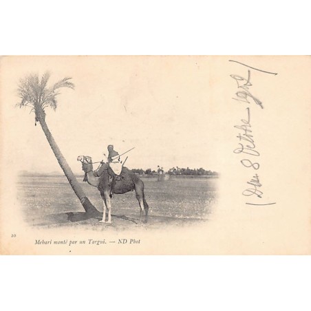 Rare collectable postcards of ALGERIA. Vintage Postcards of ALGERIA