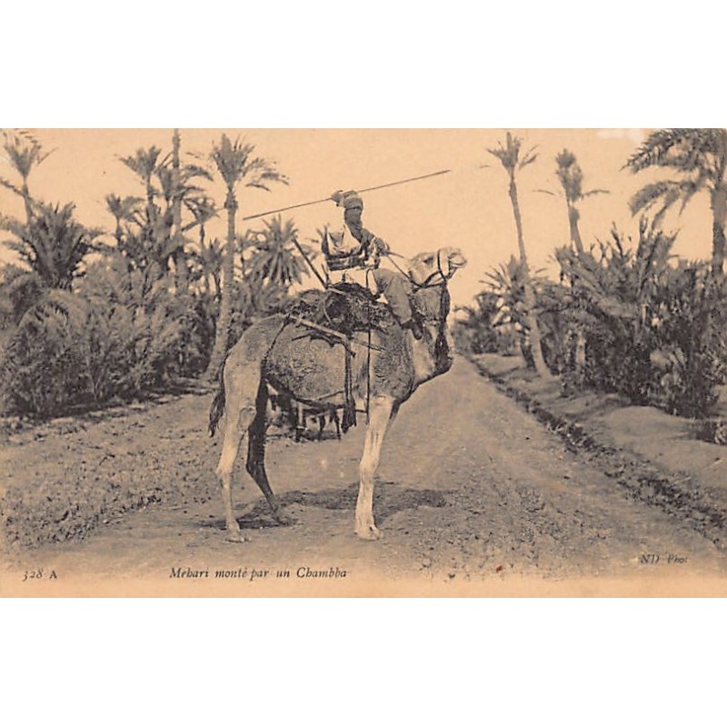 Rare collectable postcards of ALGERIA. Vintage Postcards of ALGERIA
