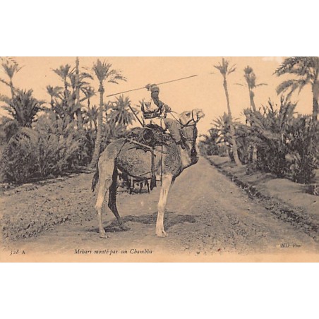 Rare collectable postcards of ALGERIA. Vintage Postcards of ALGERIA