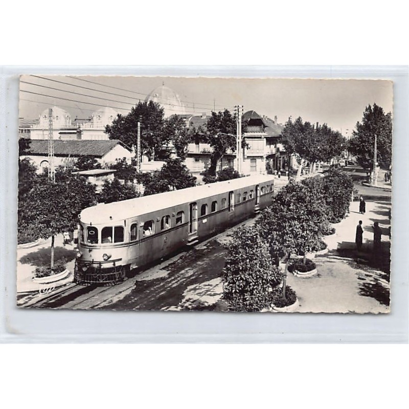 Rare collectable postcards of ALGERIA. Vintage Postcards of ALGERIA