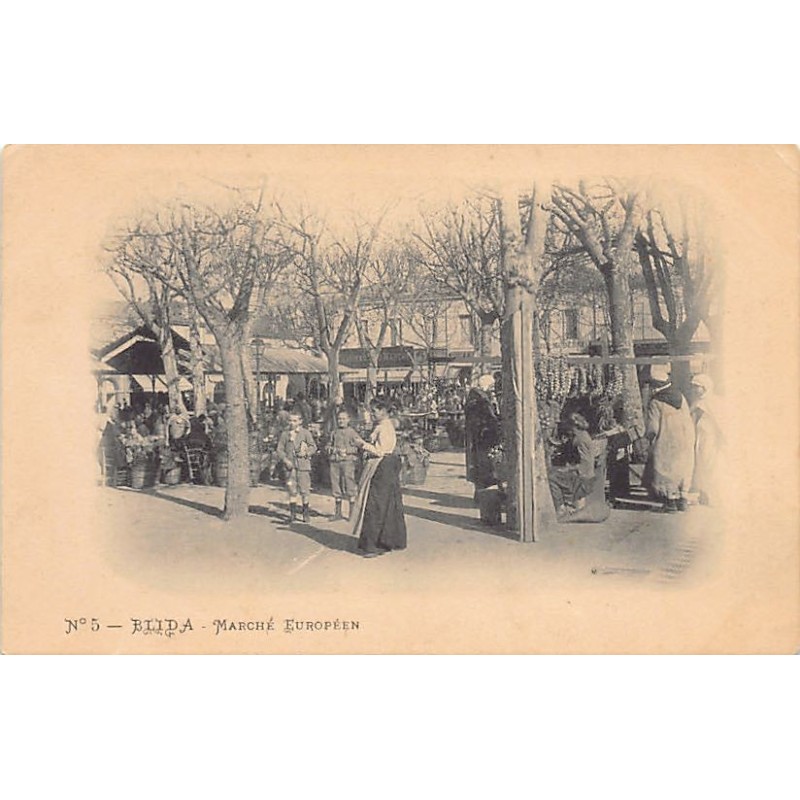 Rare collectable postcards of ALGERIA. Vintage Postcards of ALGERIA