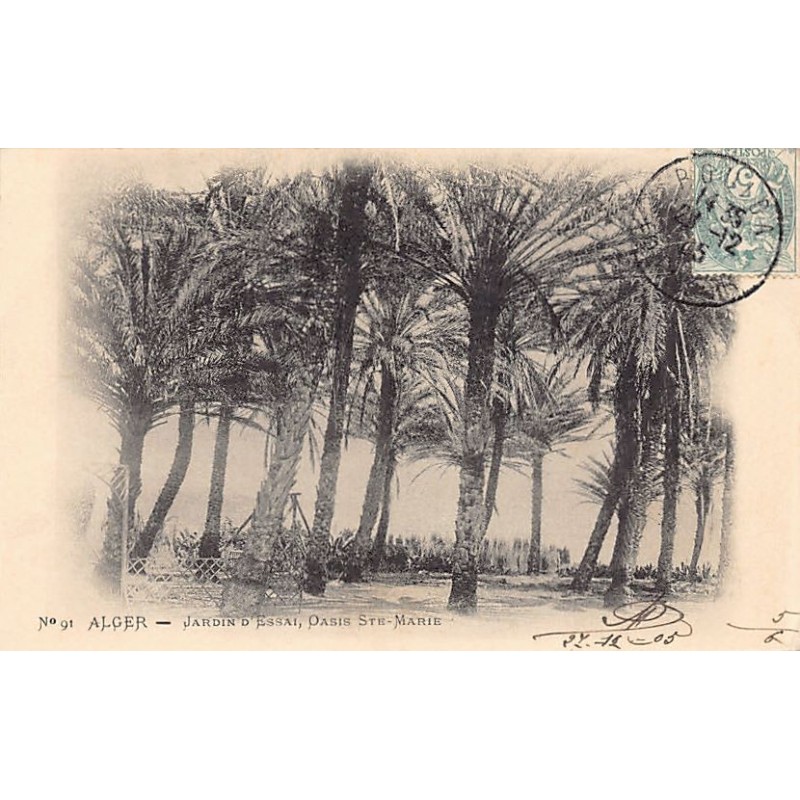 Rare collectable postcards of ALGERIA. Vintage Postcards of ALGERIA
