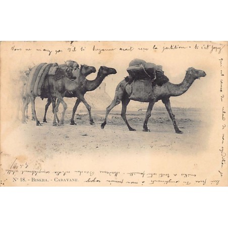 Rare collectable postcards of ALGERIA. Vintage Postcards of ALGERIA