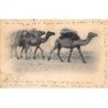 Rare collectable postcards of ALGERIA. Vintage Postcards of ALGERIA